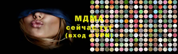 дмт Богданович