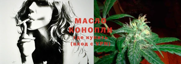 дмт Богданович