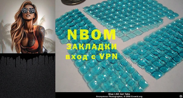дмт Богданович