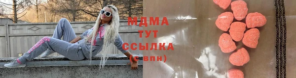 дмт Богданович
