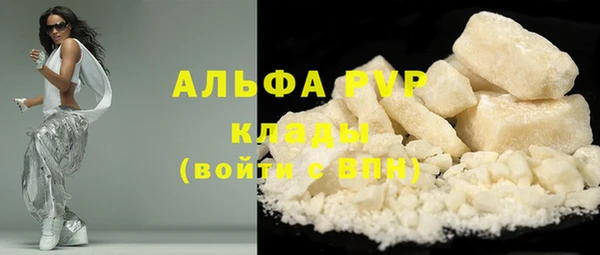 дмт Богданович