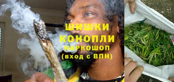 дмт Богданович