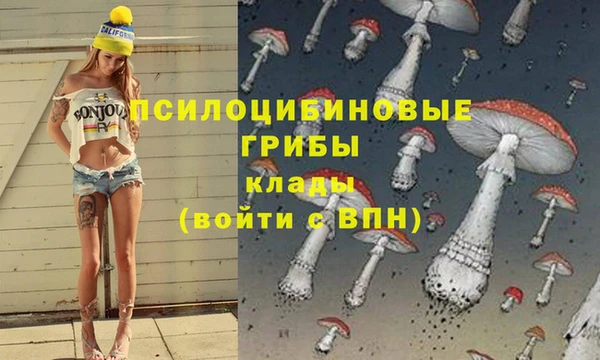 дмт Богданович