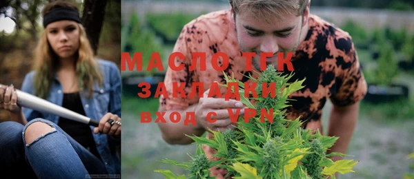 дмт Богданович